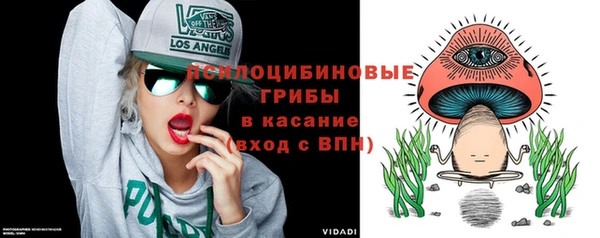 шишки Абаза
