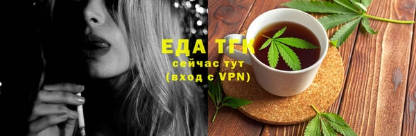 шишки Абаза