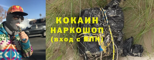 шишки Абаза