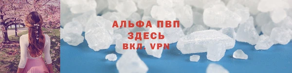шишки Абаза
