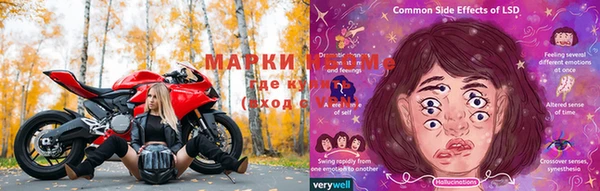 шишки Абаза