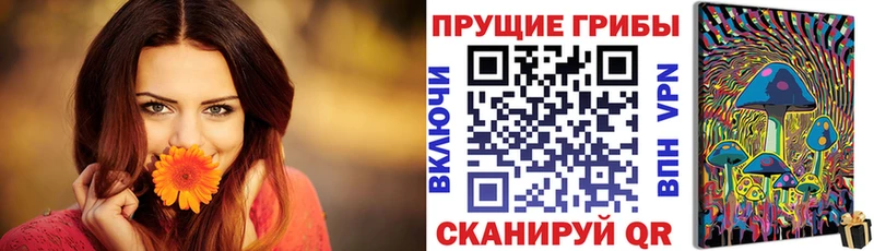 Псилоцибиновые грибы мицелий  купить  цена  Лысково 